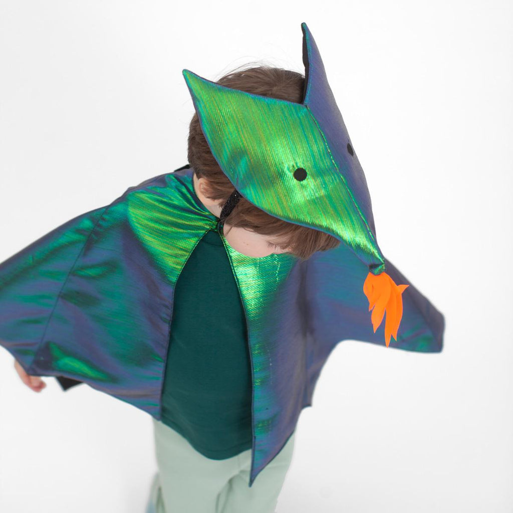 Dragon Costume