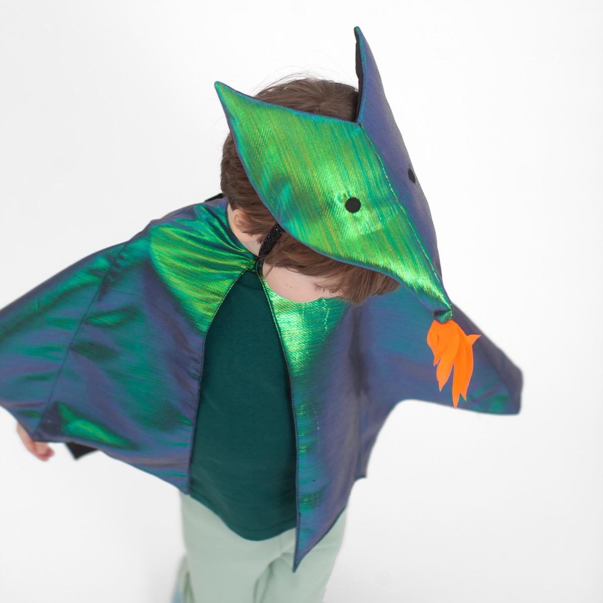 Dragon Costume