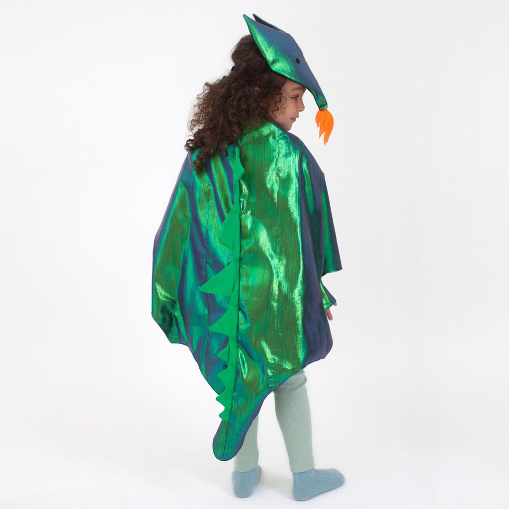 Dragon Costume