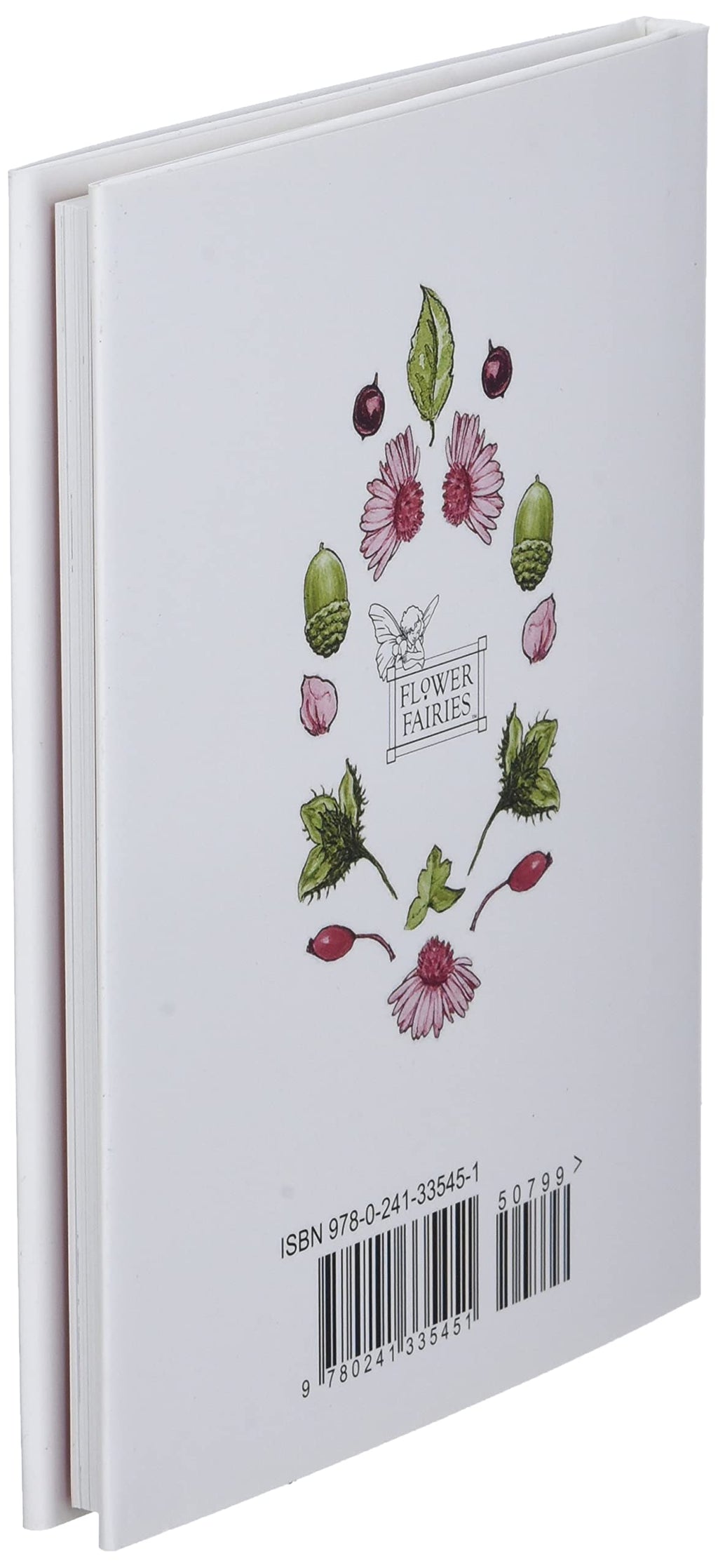 Flower Fairies of the Autumn by Cicely Mary Barker