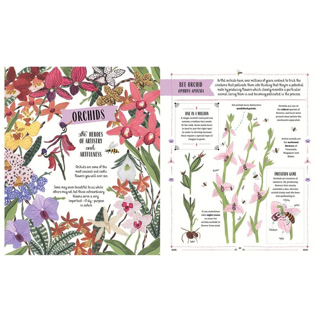 Grow: Family Guide to Plants and How To Grow Them