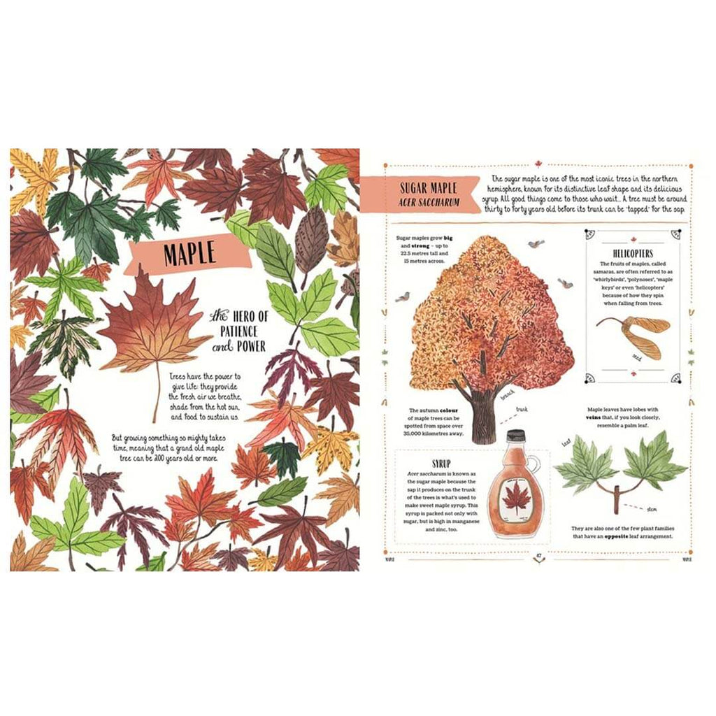 Grow: Family Guide to Plants and How To Grow Them