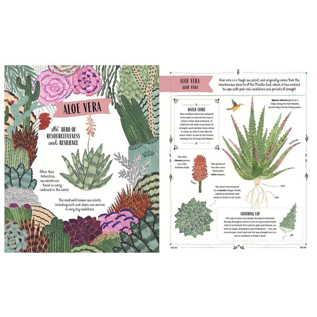 Grow: Family Guide to Plants and How To Grow Them