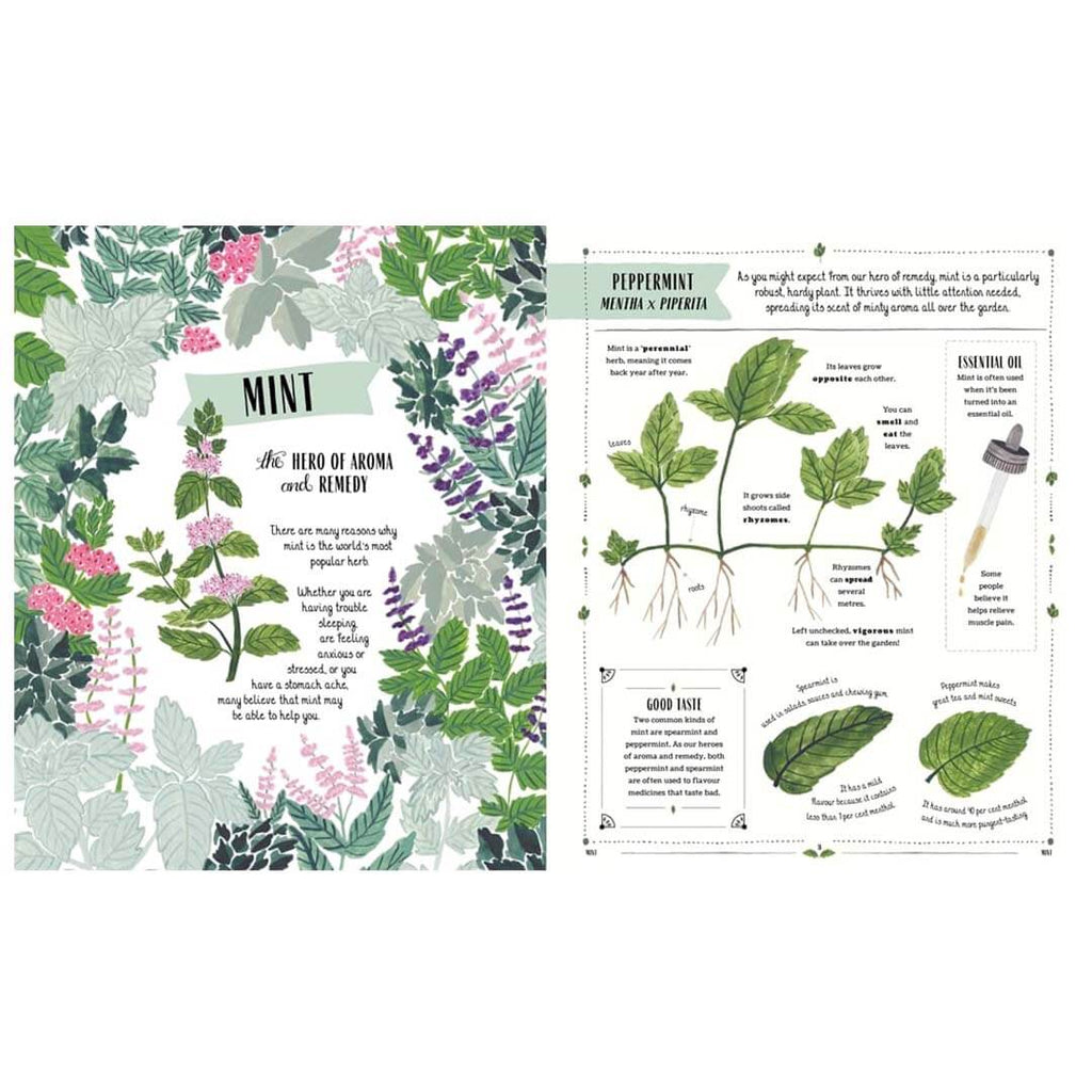 Grow: Family Guide to Plants and How To Grow Them