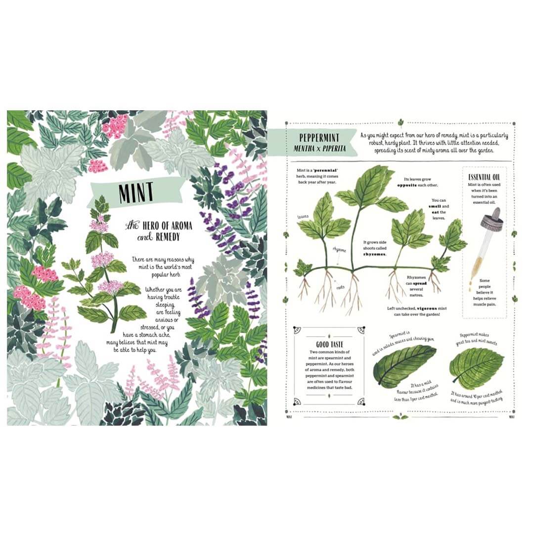 Grow: Family Guide to Plants and How To Grow Them