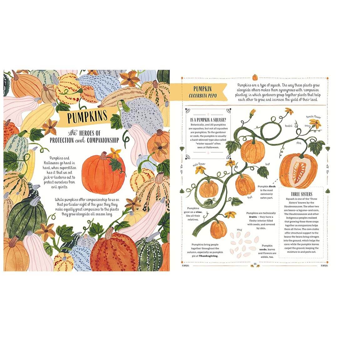 Grow: Family Guide to Plants and How To Grow Them