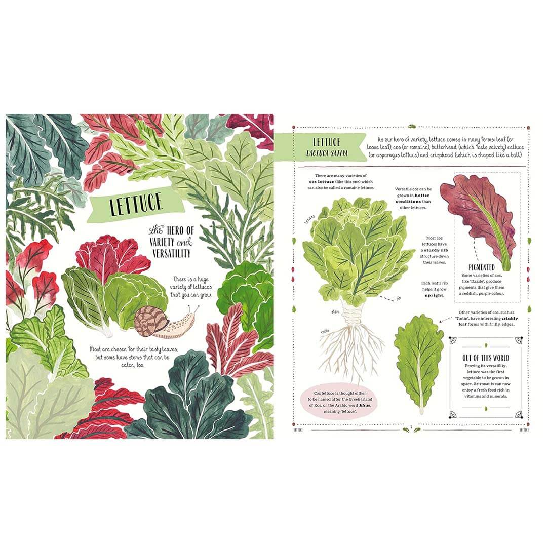 Grow: Family Guide to Plants and How To Grow Them