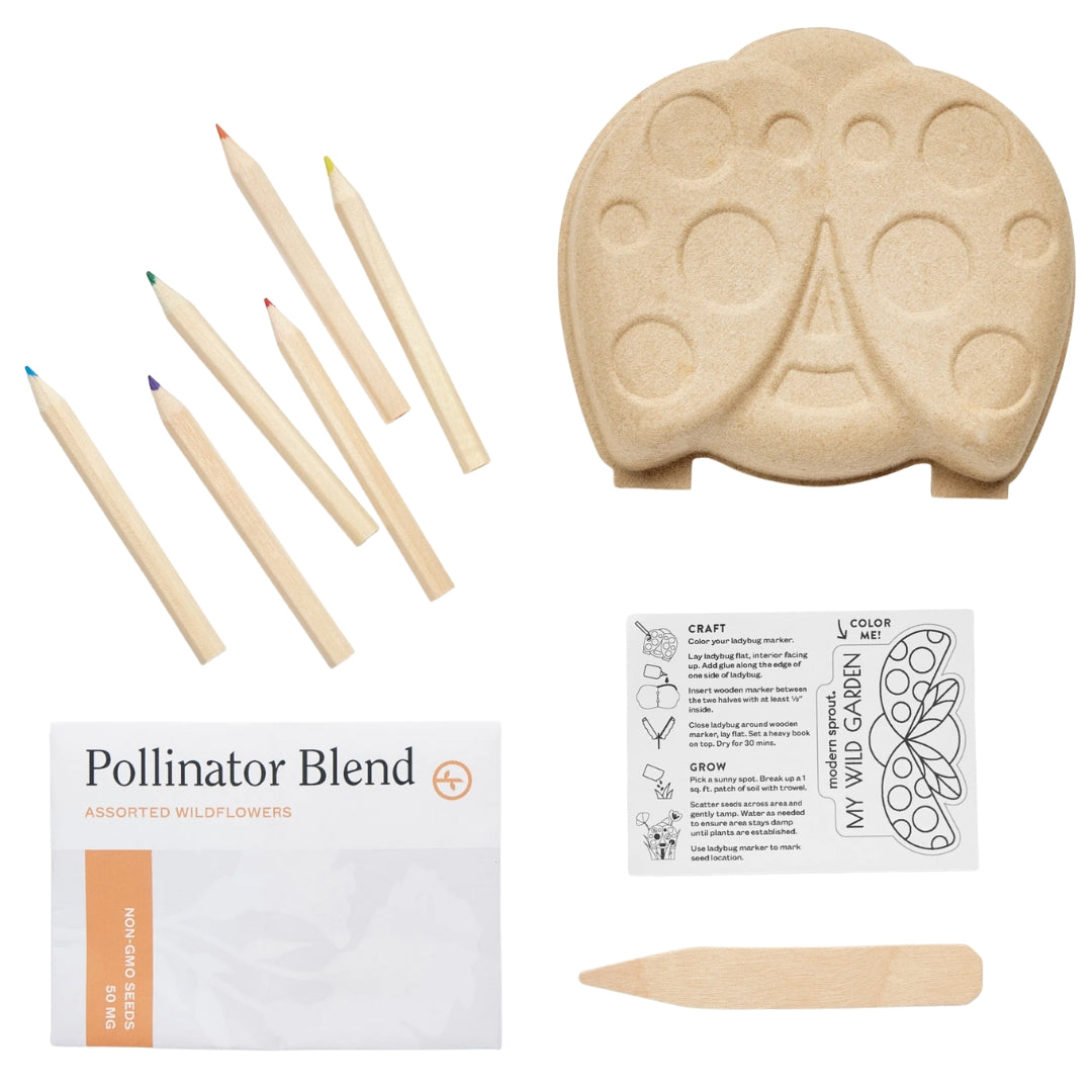 Curious Critter Ladybug Garden Kit