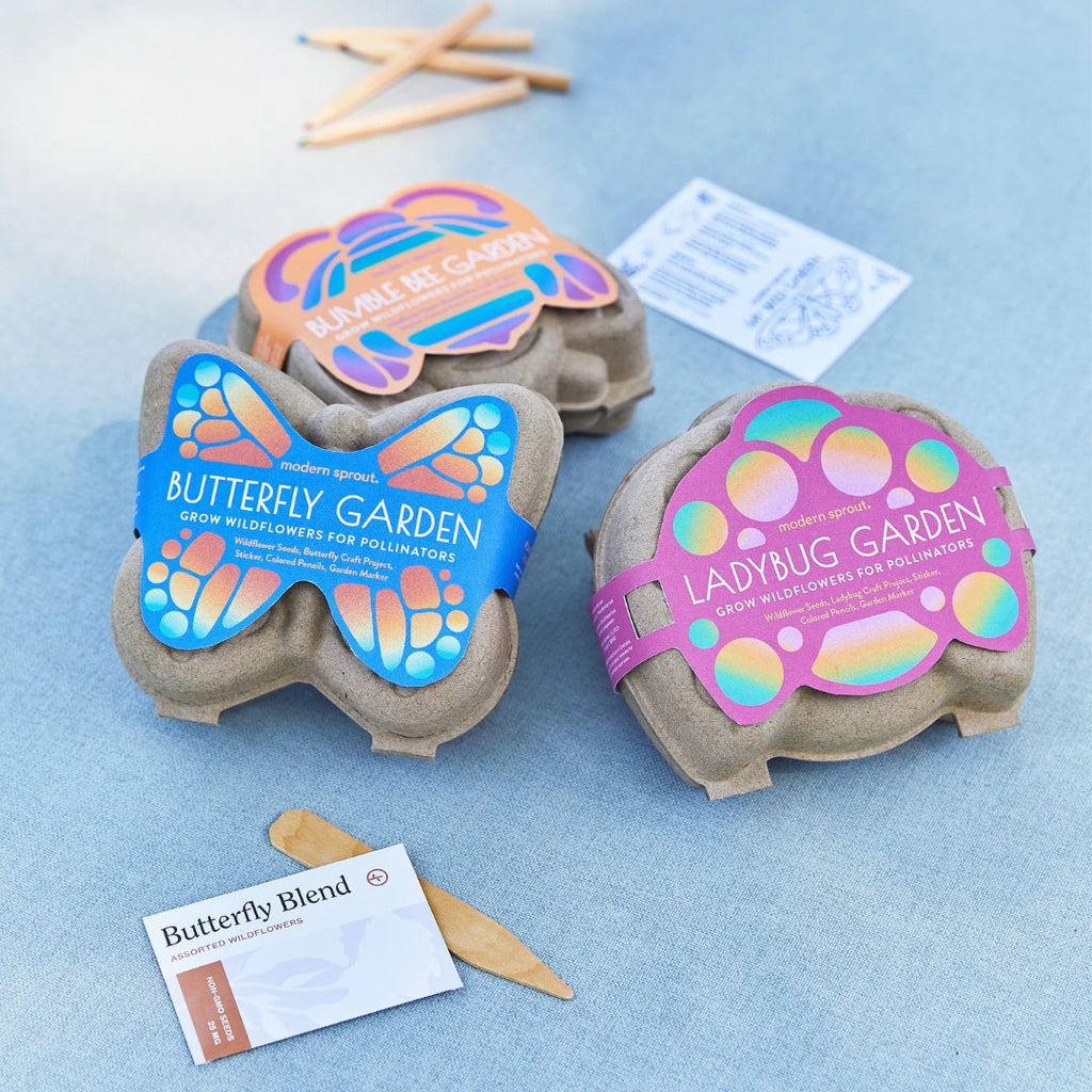 Curious Critter Ladybug Garden Kit