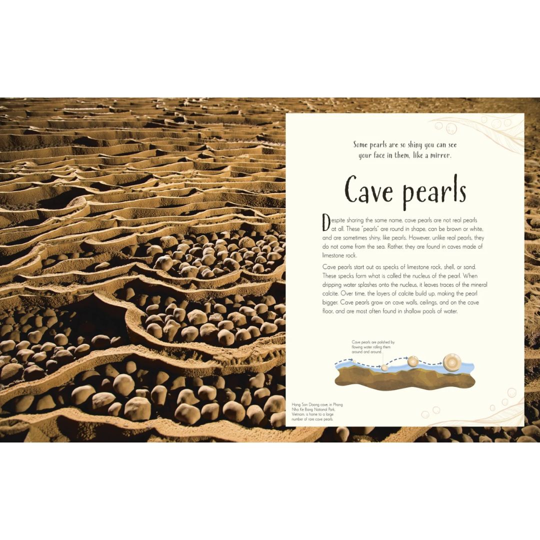 An Anthology of Our Extraordinary Earth
