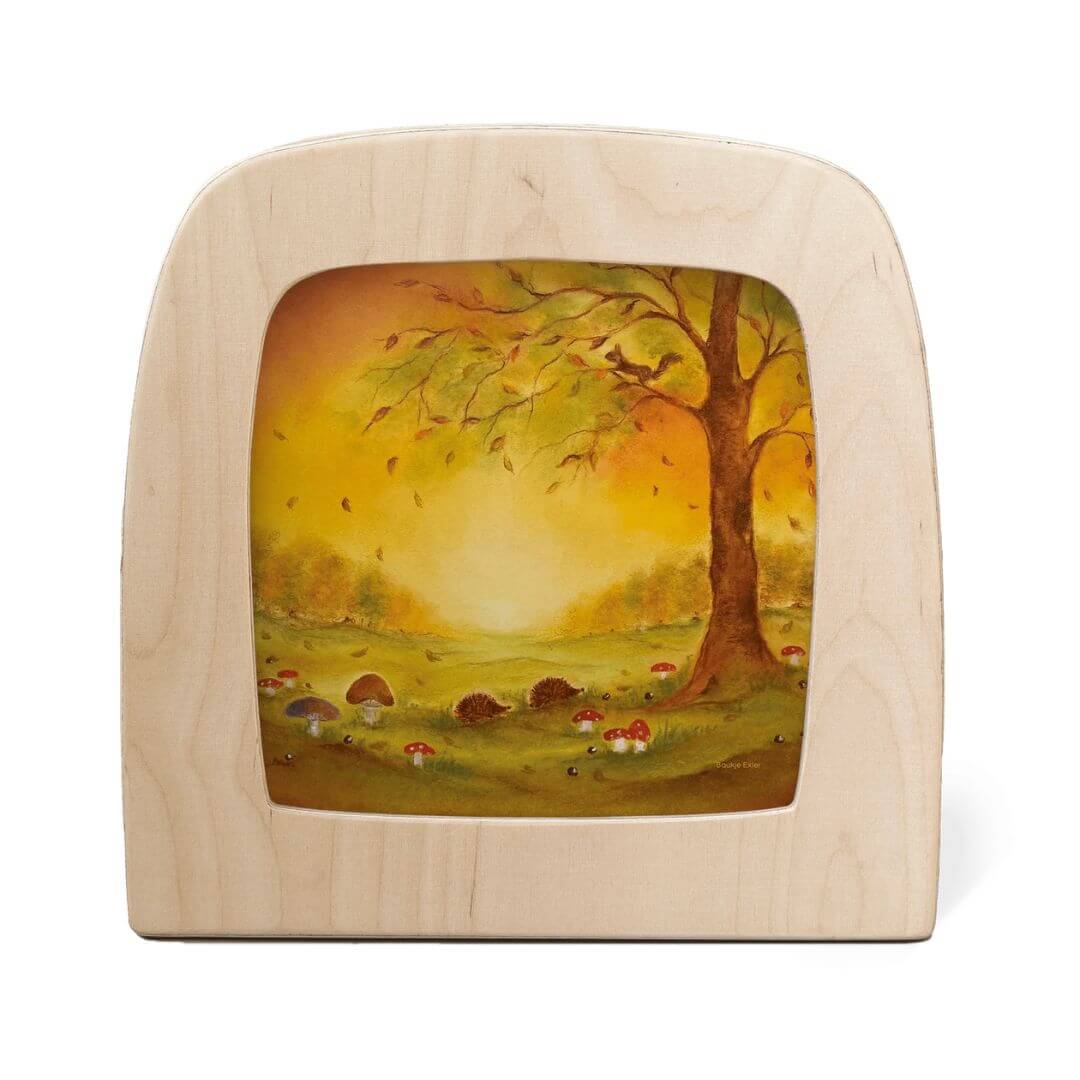Autumn Transparency Collection